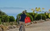 Туры в отель Tenute Plaia Agriturismo