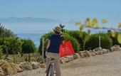 Туры в отель Tenute Plaia Agriturismo