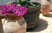 Туры в отель Tenute Plaia Agriturismo