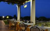 Туры в отель Tenute Plaia Agriturismo