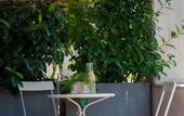 Туры в отель Victor Country Hotel