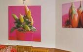 Туры в отель ibis Salon de Provence Sud