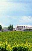 Туры в отель Protea Hotel by Marriott Stellenbosch