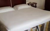 Туры в отель Rosetta Hotel Perugia, Tapestry Collection by Hilton