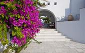 Туры в отель Ammos Naxos