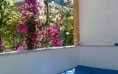 Туры в отель Doron Hotel Delfini