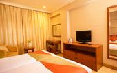 Туры в отель Ellaa Hotel Gachibowli