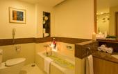 Туры в отель Ellaa Hotel Gachibowli