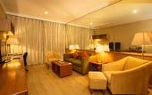 Туры в отель Ellaa Hotel Gachibowli
