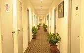 Туры в отель Seemsoon Hotel