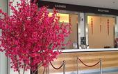 Туры в отель Seemsoon Hotel
