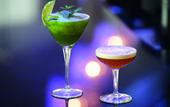 Туры в отель Novotel Pune Viman Nagar Hotel