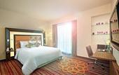 Туры в отель Novotel Pune Viman Nagar Hotel