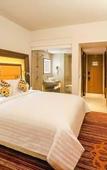 Туры в отель Novotel Pune Viman Nagar Hotel