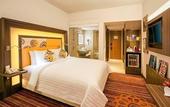 Туры в отель Novotel Pune Viman Nagar Hotel
