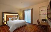 Туры в отель Novotel Pune Viman Nagar Hotel