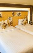Туры в отель Novotel Pune Viman Nagar Hotel