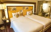 Туры в отель Novotel Pune Viman Nagar Hotel