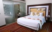 Туры в отель Novotel Pune Viman Nagar Hotel