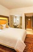 Туры в отель Novotel Pune Viman Nagar Hotel