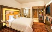 Туры в отель Novotel Pune Viman Nagar Hotel