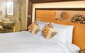 Туры в отель Novotel Pune Viman Nagar Hotel