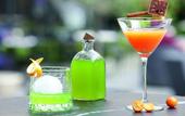 Туры в отель Novotel Pune Viman Nagar Hotel