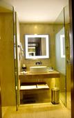 Туры в отель Novotel Pune Viman Nagar Hotel
