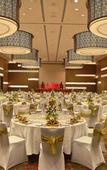 Туры в отель Novotel Pune Viman Nagar Hotel