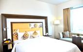 Туры в отель Novotel Pune Viman Nagar Hotel