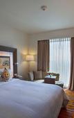 Туры в отель Novotel Pune Viman Nagar Hotel