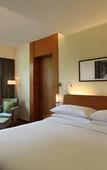 Туры в отель Hyatt Pune