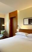 Туры в отель Hyatt Pune