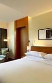 Туры в отель Hyatt Pune