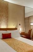 Туры в отель Hyatt Pune