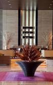 Туры в отель Hyatt Pune