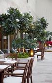 Туры в отель Hyatt Pune