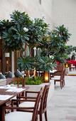 Туры в отель Hyatt Pune