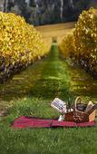 Туры в отель Lancemore Lindenderry Red Hill