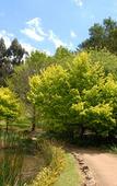 Туры в отель Lancemore Lindenderry Red Hill