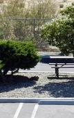 Туры в отель High Desert Motel Joshua Tree National Park