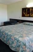 Туры в отель High Desert Motel Joshua Tree National Park