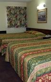 Туры в отель High Desert Motel Joshua Tree National Park