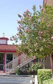 Туры в отель High Desert Motel Joshua Tree National Park