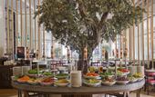 Туры в отель IC Hotels Green Palace