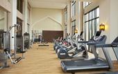 Туры в отель Sheraton Qingyuan Lion Lake Resort
