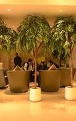 Туры в отель Monotel Luxury Business Hotel