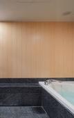 Туры в отель Hotel Metropolitan Sendai