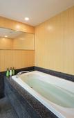 Туры в отель Hotel Metropolitan Sendai