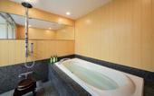 Туры в отель Hotel Metropolitan Sendai